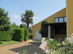 Apartments ZVEZDICA*** with garden